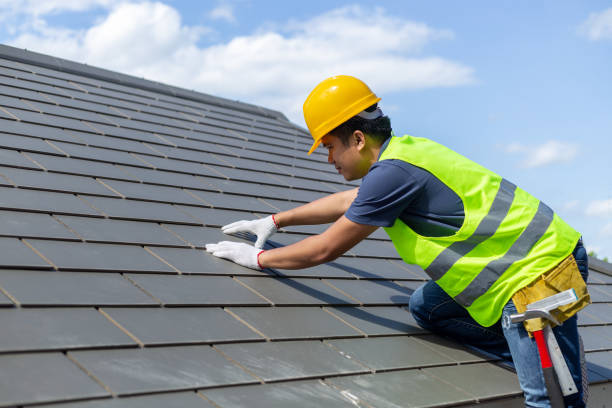 Best Metal Roofing Contractor  in Oakland, NE