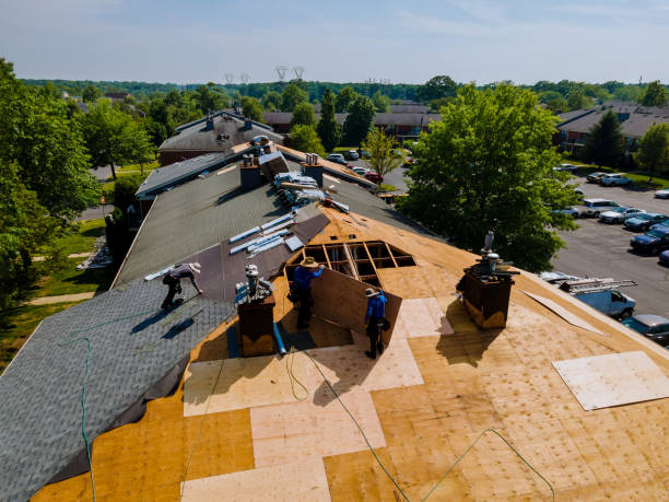Best Local Roofing Companies  in Oakland, NE