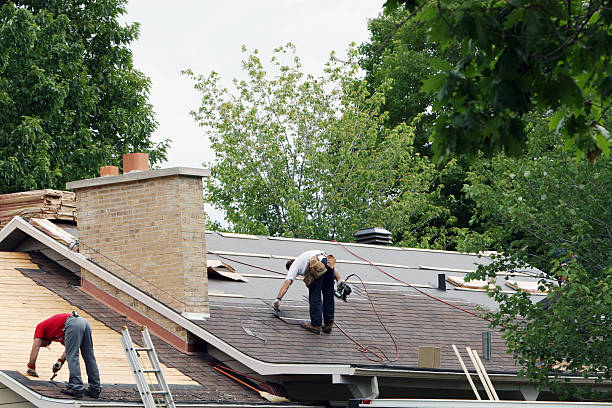 Best Roof Gutter Cleaning  in Oakland, NE