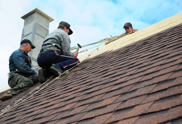 Best Storm Damage Roof Repair  in Oakland, NE