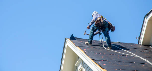 Best Gutter Installation and Roofing  in Oakland, NE